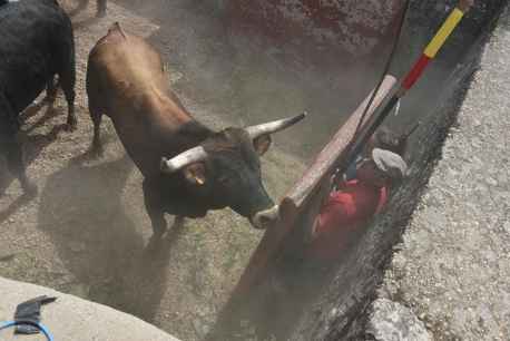 Sol, vino y toros: cinco días de las fiestas de San Juan 2026, en Soria