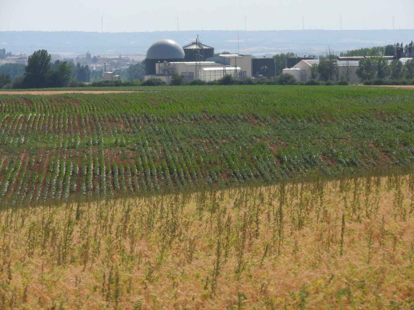 ASDEN rechaza planta de biometano en Viana de Duero por "severas" deficiencias ambientales y urbanísticas