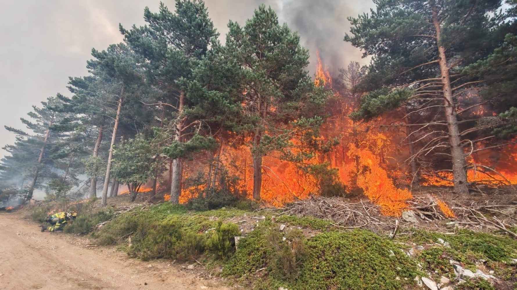 CSIF exige un Pacto de Estado contra los incendios forestales: