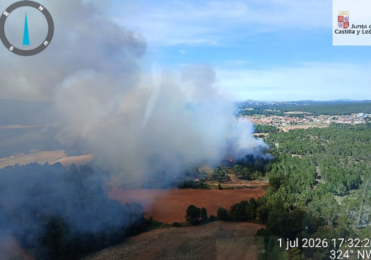 Casi cinco hectáreas de masa arbolada, calcinadas en incendio de Tardelcuende