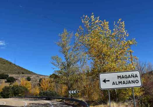 Conductor herido tras colisionar con su vehículo contra animal