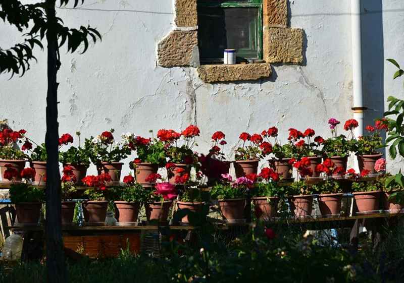 Callejeando por Soria