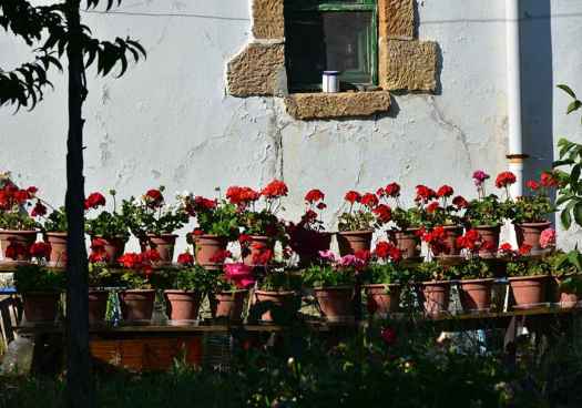 Callejeando por Soria