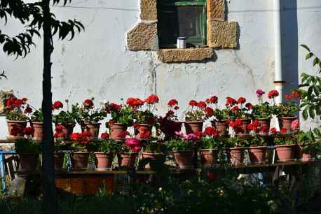 Callejeando por Soria
