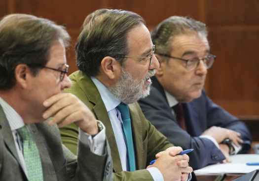 El PP denuncia que Aagesen se marca un ‘Sánchez’ en el Senado