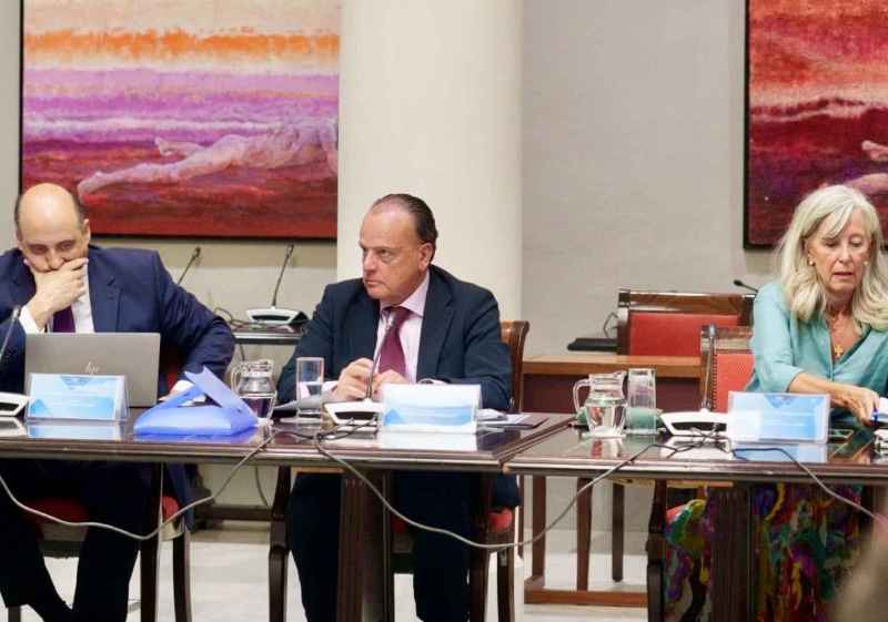 El Consejo de Cuentas de Castilla y León celebra pleno en El Burgo de Osma