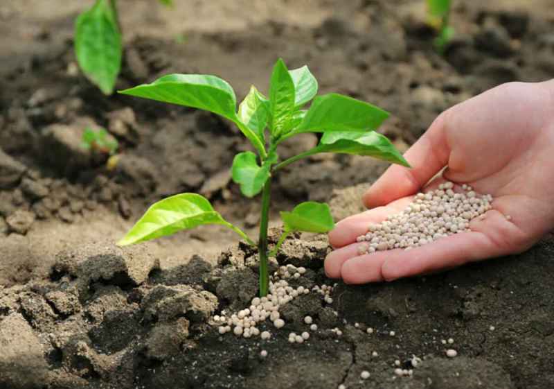 El MAPA publica primer listado de beneficiarios de ayuda para compra de fertilizantes