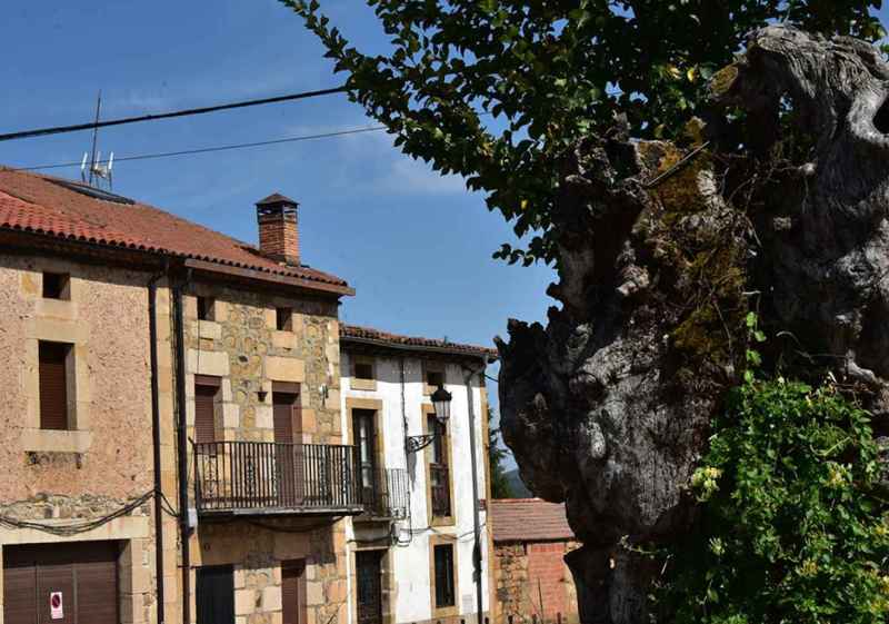 Estampas de verano en Vinuesa, 