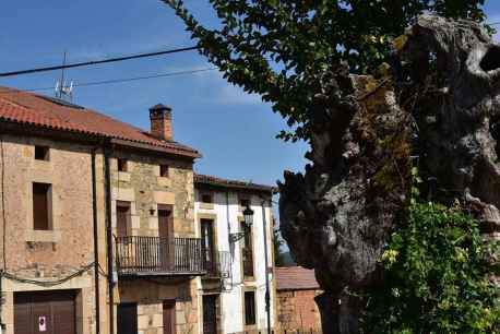 Estampas de verano en Vinuesa, 