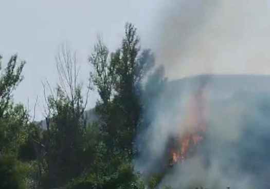Almarza y Carrascosa de Abajo sufren dos incendios forestales