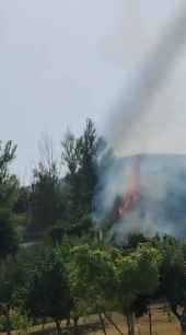 Almarza y Carrascosa de Abajo sufren dos incendios forestales