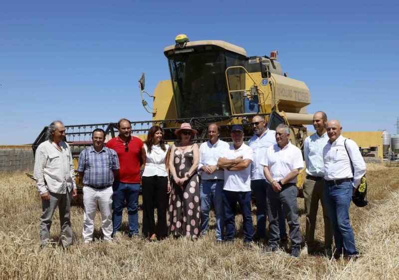 La cosecha de cereal de invierno, un 42 por ciento inferior a la de la campaña pasada 