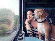 Renfe permitirá viajar con perros de hasta 40 kilos en todos sus trenes