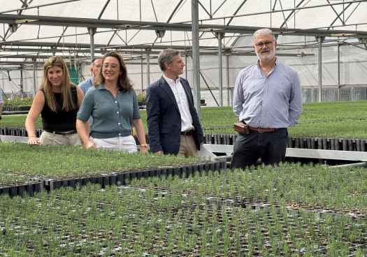 La Junta destina 2,5 millones a impulsar plantaciones forestales de alto valor en Castilla y León 