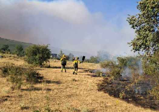 El incendio de Guadalajara se encuentra a 5-7 kilómetros del límite provincial con Soria