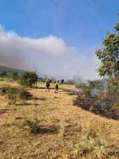 El incendio de Guadalajara se encuentra a 5-7 kilómetros del límite provincial con Soria