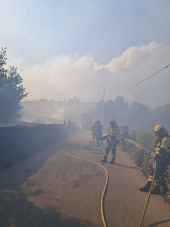 Diputación sigue pendiente de evolución del incendio forestal en Guadalajara
