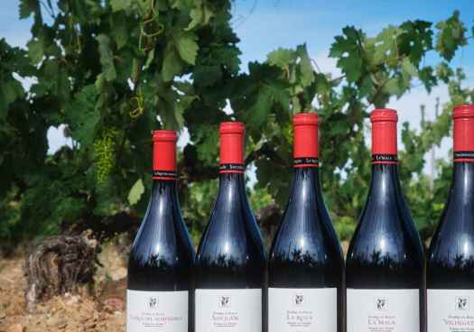 La Guía Peñín 2027 reitera reconocimientos a vinos de Dominio de Atauta
