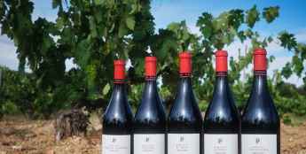 La Guía Peñín 2027 reitera reconocimientos a vinos de Dominio de Atauta