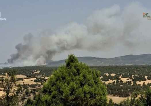 El incendio forestal de La Mierla, en Guadalajara, entra en fase de estabilización