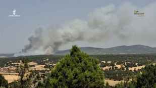 El incendio forestal de La Mierla, en Guadalajara, entra en fase de estabilización