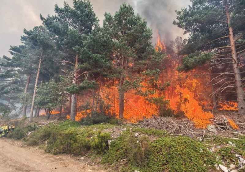 CSIF exige un Pacto de Estado contra los incendios forestales: