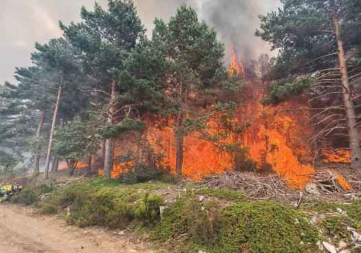 CSIF exige un Pacto de Estado contra los incendios forestales: