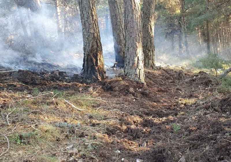 Navaleno sufre un incendio en Pinar Grande