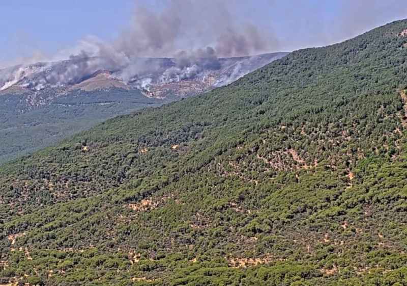Detenido posible responsable de incendio forestal en Burgohondo (Ávila)
