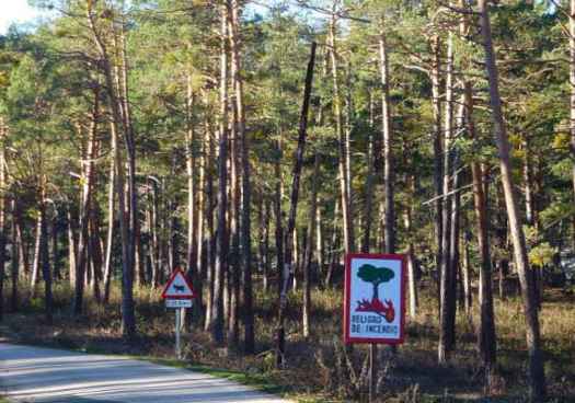 Evacuado campamento juvenil de Navaleno a causa de incendio forestal