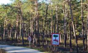 Evacuado campamento juvenil de Navaleno a causa de incendio forestal