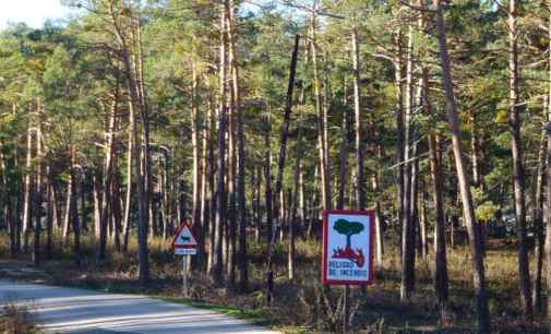Evacuado campamento juvenil de Navaleno a causa de incendio forestal