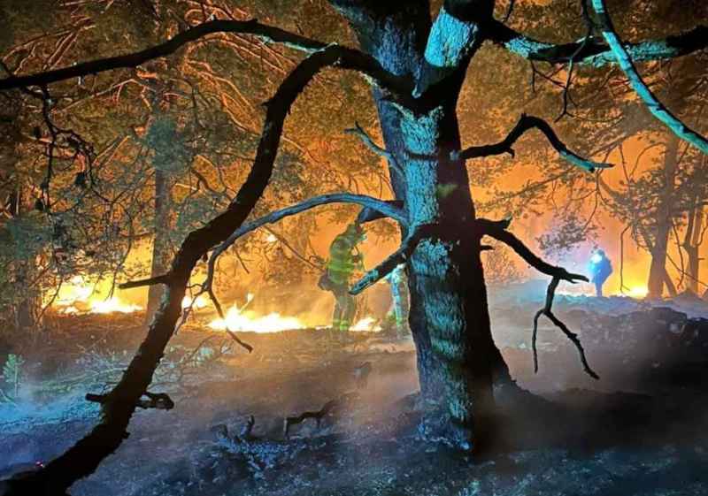 La Junta  conede primeras ayudas directas para afectados por incendios forestales