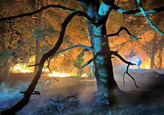 La Junta  concede primeras ayudas directas para afectados por incendios forestales