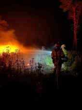 Los incendios forestales han calcinado ya 125.000 hectáreas en España