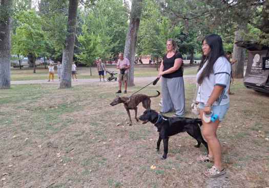 Hoteles de insectos y habilidades caninas, dos actividades ambientales en Almazán