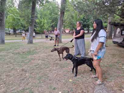 Hoteles de insectos y habilidades caninas, dos actividades ambientales en Almazán