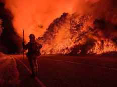 El incendio de Ávila, con 50.000 hectáreas, el mayor de la historia de España