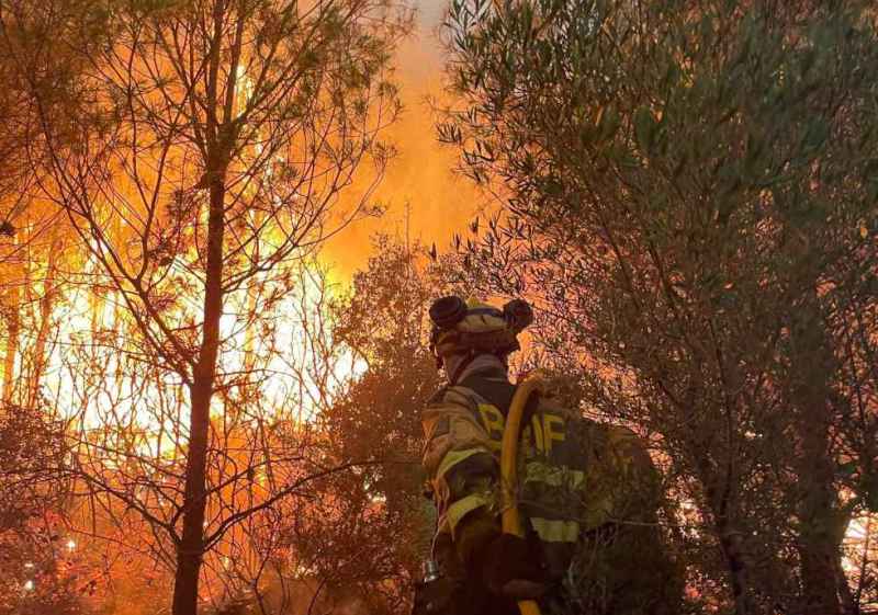 La Diócesis de Osma-Soria se une en oración ante grave ola de incendios que asola España