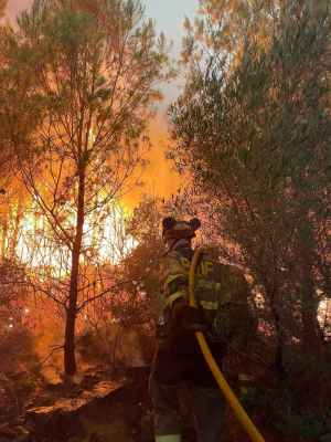 La Diócesis de Osma-Soria se une en oración ante grave ola de incendios que asola España