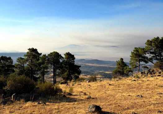 Diputación sigue dispuesta a colaborar en incendio de Ávila, si lo solicita mando operativo