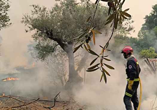 El SEIS de Soria mantiene su colaboración en incendio de Ávila con labores de extinción en Piedralavés