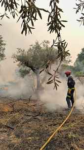 El SEIS de Soria mantiene su colaboración en incendio de Ávila con labores de extinción en Piedralavés