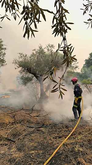 El SEIS de Soria mantiene su colaboración en incendio de Ávila con labores de extinción en Piedralavés