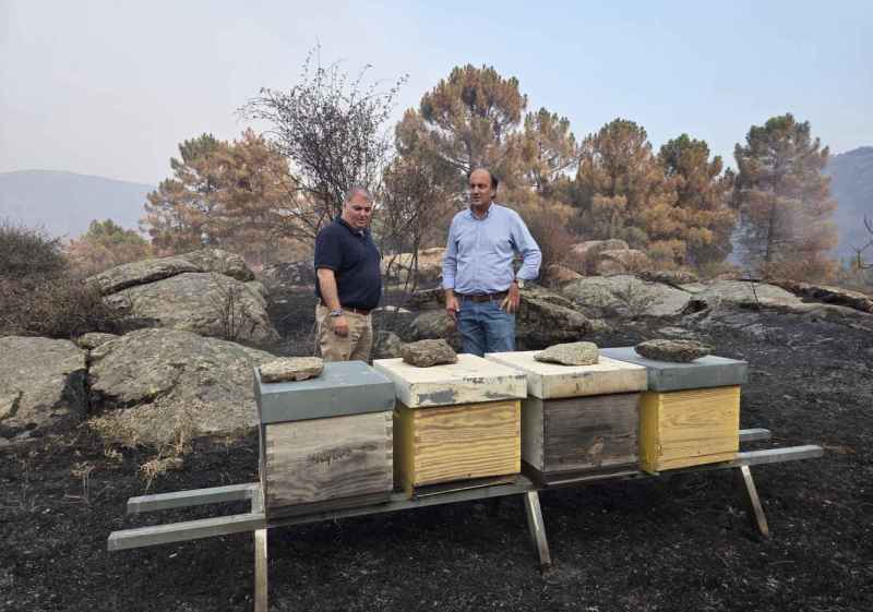 La Junta evalúa impacto del incendio en Valle de Iruelas sobre fauna, flora, pesca y actividades del medio rural 