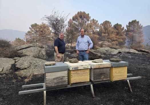 La Junta evalúa impacto del incendio en Valle de Iruelas sobre fauna, flora, pesca y actividades del medio rural 