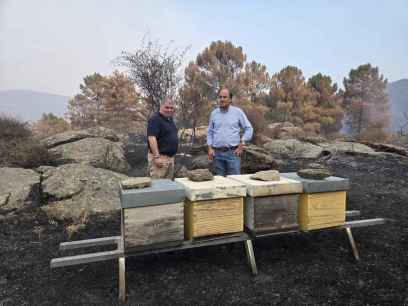 La Junta evalúa impacto del incendio en Valle de Iruelas sobre fauna, flora, pesca y actividades del medio rural 