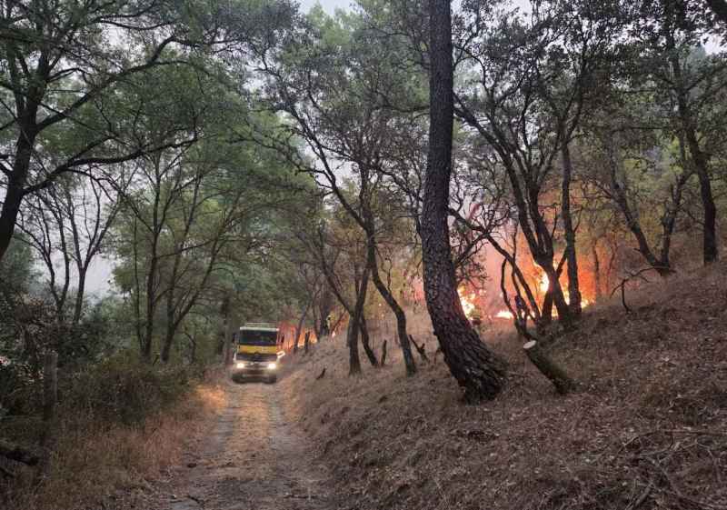 La Junta arbitra actuaciones para recuperación de zonas afectadas por incendios forestales