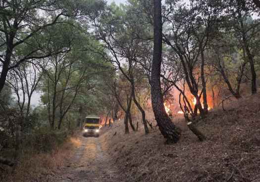 La Junta arbitra actuaciones para recuperación de zonas afectadas por incendios forestales