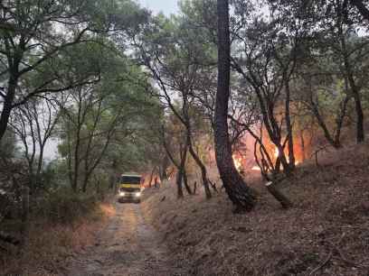 La Junta arbitra actuaciones para recuperación de zonas afectadas por incendios forestales